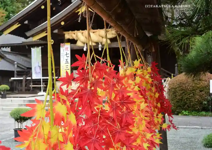 出雲大社相模分祠(神奈川県)