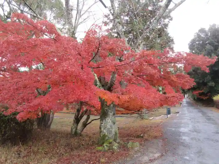 園城寺(三井寺)(滋賀県)