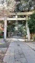 赤坂氷川神社の鳥居