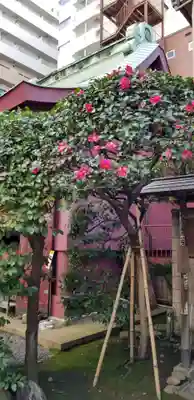 笠間稲荷神社 東京別社(東京都)