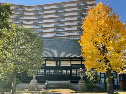 泊船軒(東京都)