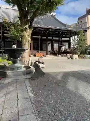 本能寺の本殿・本堂