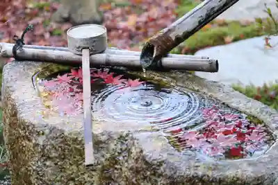 正寿院の手水舎