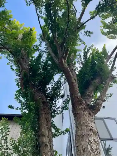 諏訪八幡神社(茨城県)