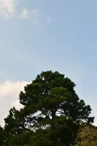 隠岐神社(島根県)