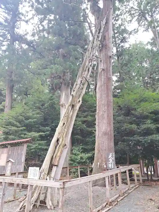 渭伊神社(静岡県)
