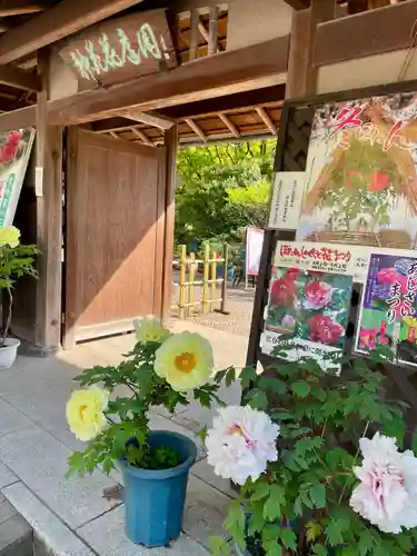 筥崎宮(福岡県)