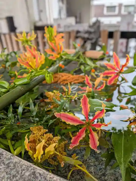 高円寺氷川神社(東京都)