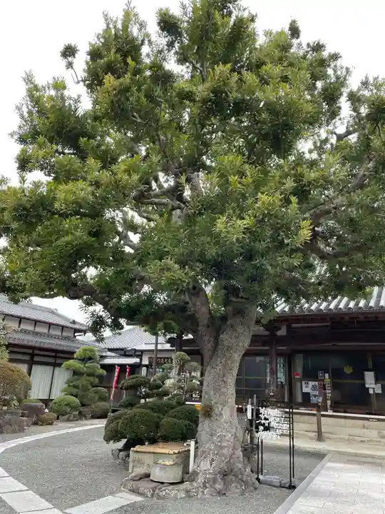 多聞寺(兵庫県)