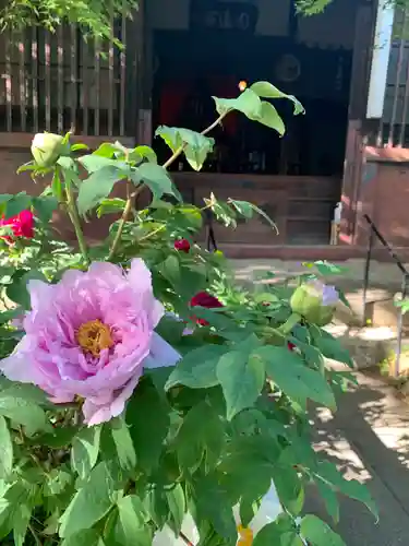 龍真寺(群馬県)