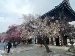 興正寺(京都府)