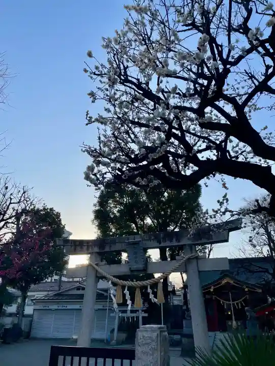 女塚神社の{uncategorized: "未分類", other: "その他", undefined: "問題あり", building: "その他建物", grave: "お墓", sacred_gate: "鳥居", guardian: "狛犬", statue: "像", buddha: "仏像", history: "歴史", nature: "自然", garden: "庭園", animal: "動物", pagoda: "塔", temizu: "手水舎", mountain_gate: "山門・神門", sanctuary: "本殿・本堂", subordinate: "末社・摂社", art: "芸術", scenery: "景色", jizo: "地蔵", ema: "絵馬", goshuin: "御朱印", omikuji: "おみくじ", items: "授与品その他", amulet: "お守り", goshuincho: "御朱印帳", eats: "食事", festival: "お祭り", votive_dance: "神楽", shichigosan: "七五三参", wedding: "結婚式", experience: "体験その他", initially: "初詣", around: "周辺", anti_infection: "感染症対策"}