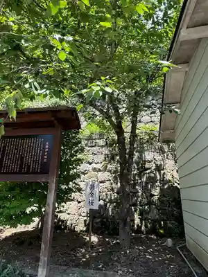 金櫻神社(山梨県)