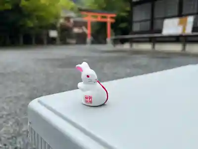 宇治神社のおみくじ
