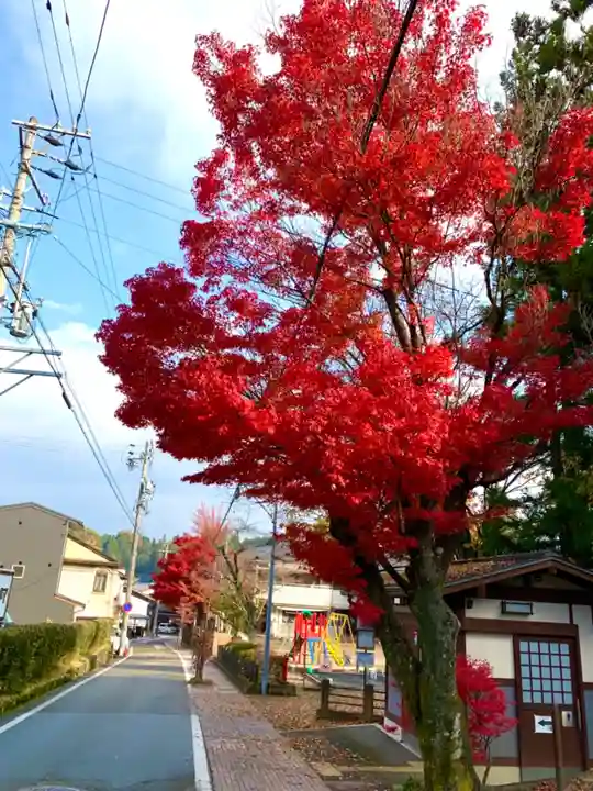 飛驒護國神社の周辺