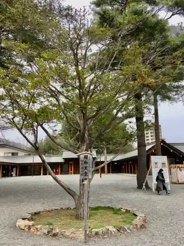 北海道神宮の自然