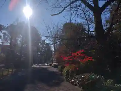 阿佐ヶ谷神明宮(東京都)