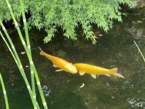 時宗総本山 遊行寺（正式：清浄光寺）(神奈川県)