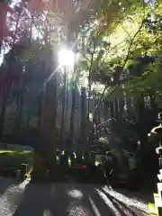 御岩神社の景色