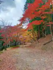 吉野神宮(奈良県)