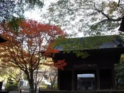 妙本寺の山門・神門