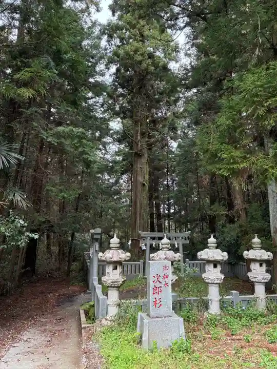 大杉神社の{uncategorized: "未分類", other: "その他", undefined: "問題あり", building: "その他建物", grave: "お墓", sacred_gate: "鳥居", guardian: "狛犬", statue: "像", buddha: "仏像", history: "歴史", nature: "自然", garden: "庭園", animal: "動物", pagoda: "塔", temizu: "手水舎", mountain_gate: "山門・神門", sanctuary: "本殿・本堂", subordinate: "末社・摂社", art: "芸術", scenery: "景色", jizo: "地蔵", ema: "絵馬", goshuin: "御朱印", omikuji: "おみくじ", items: "授与品その他", amulet: "お守り", goshuincho: "御朱印帳", eats: "食事", festival: "お祭り", votive_dance: "神楽", shichigosan: "七五三参", wedding: "結婚式", experience: "体験その他", initially: "初詣", around: "周辺", anti_infection: "感染症対策"}