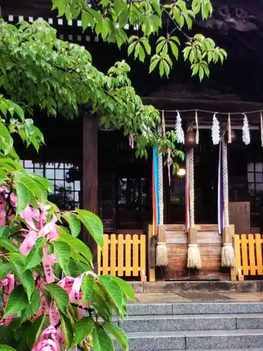 桜神宮(東京都)