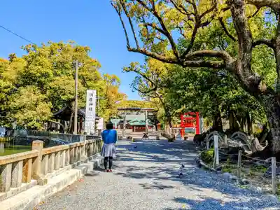 川原神社の自然