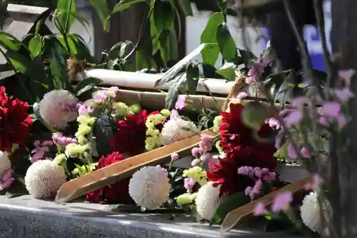 豊景神社の手水