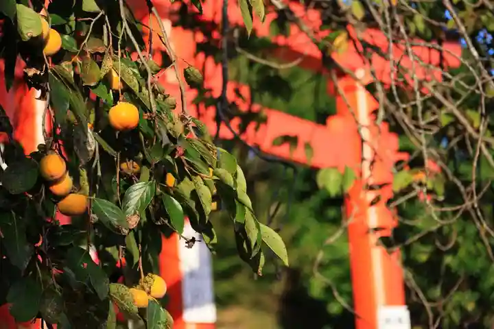 高屋敷稲荷神社の景色