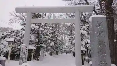 新琴似神社の鳥居
