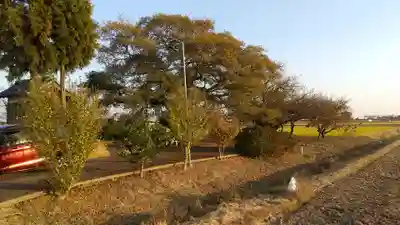 相野谷八幡神社(茨城県)