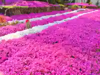 寿量山 速成寺の自然