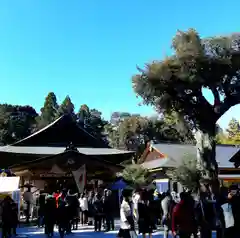 井伊谷宮の建物その他