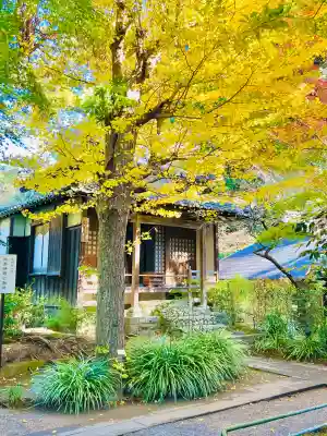 明月院(神奈川県)