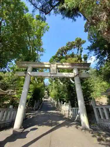 白山宮の鳥居