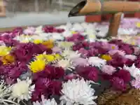 鶴岡八幡宮の手水舎