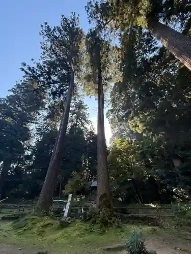 粟鹿神社(兵庫県)
