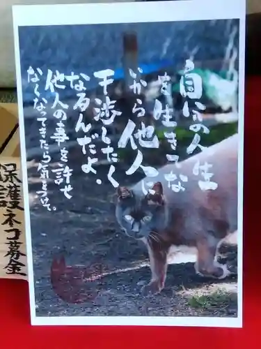 専念寺(大阪府)