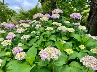 八幡宮(茨城県)