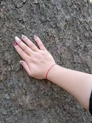 生田神社(兵庫県)