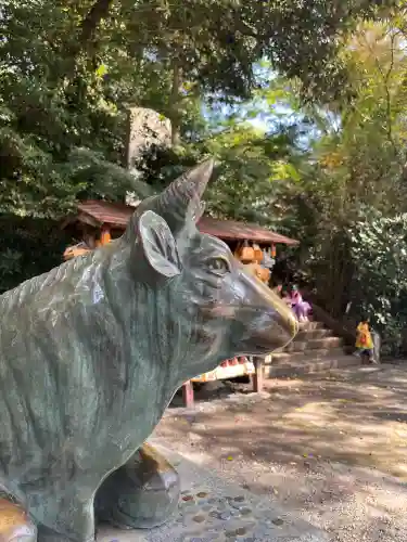 谷保天満宮(東京都)