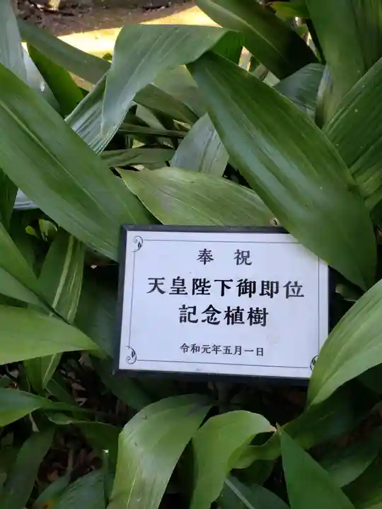 赤坂氷川神社(東京都)