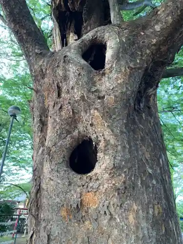 新町諏訪神社(群馬県)