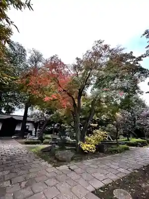 小川寺(東京都)