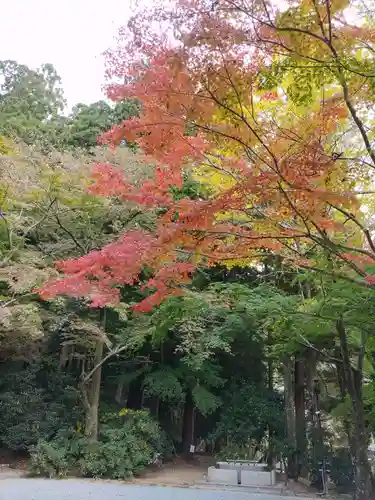 室生寺の景色