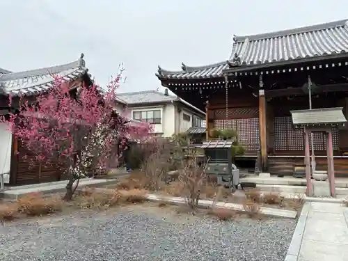 蓮花寺(大阪府)