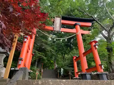 新倉富士浅間神社の鳥居