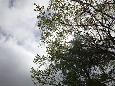 戸隠神社中社(長野県)