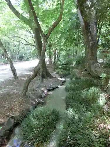 賀茂御祖神社（下鴨神社）の自然